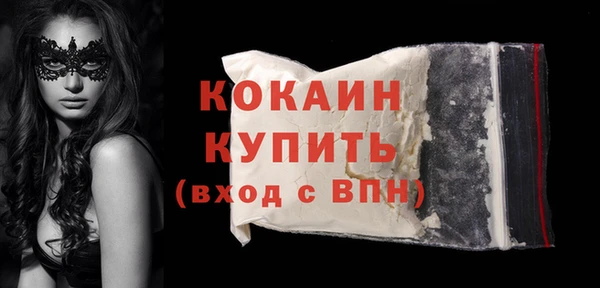 кокс Гусев