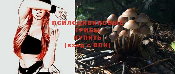 СК Балабаново