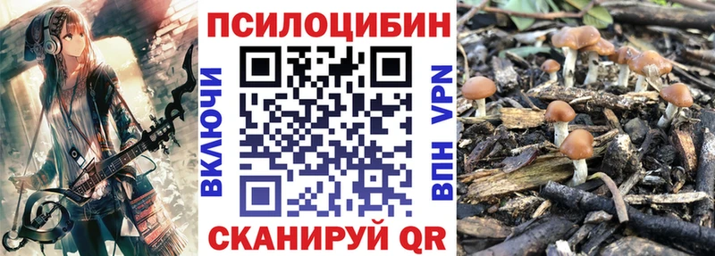 Псилоцибиновые грибы мухоморы  Купить закладки  Белогорск 